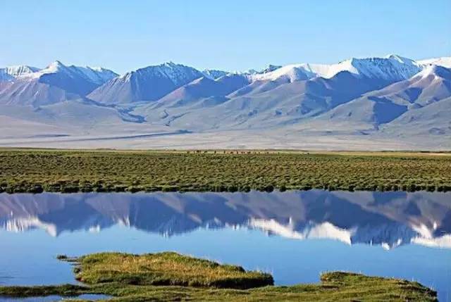 新疆和田大枣源疆味,科普新疆水果