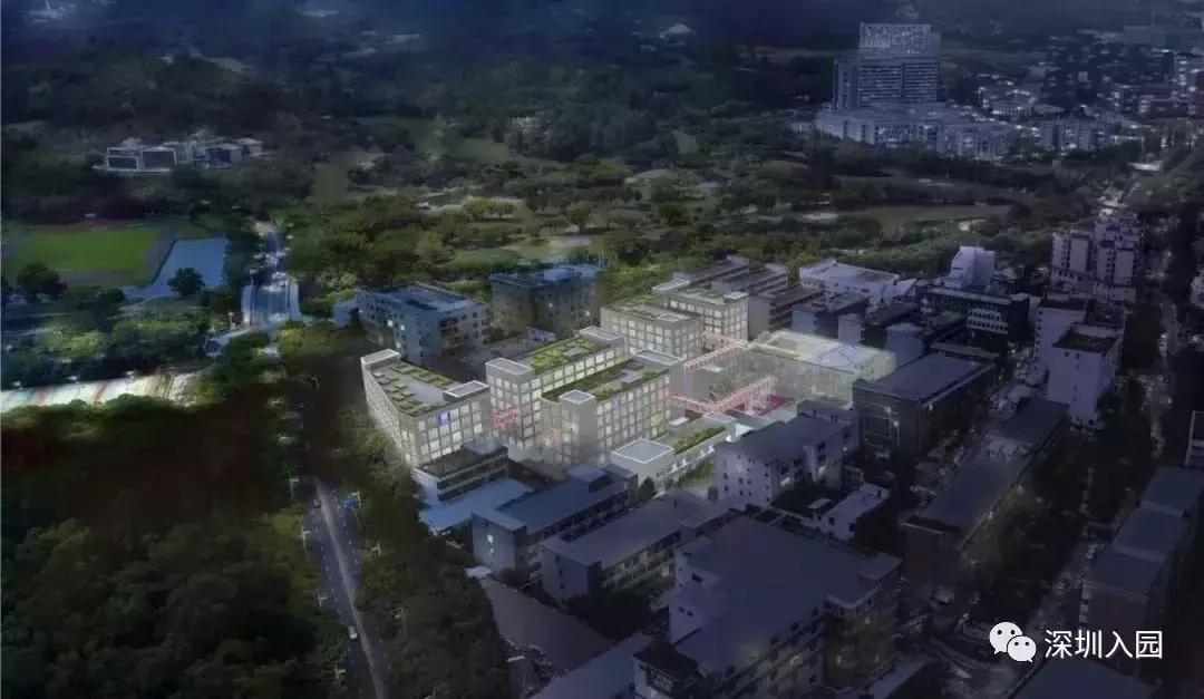 深圳普林斯顿国际幼儿园学费,深圳贝赛思国际学校幼儿园学费