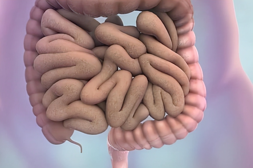 肠道肿瘤切除后还有息肉怎么办,息肉及肿瘤