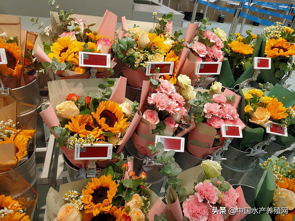 盒马鲜生合肥首家,盒马鲜生入驻肥东