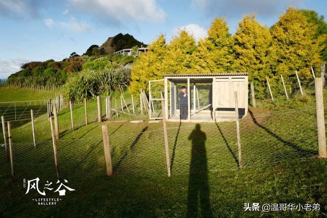 十几年的夫妻感悟,十年的老华人含泪感悟