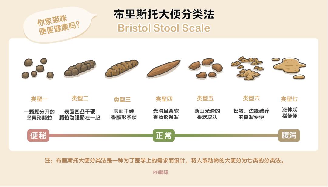 猫咪吃了猫砂便秘怎么排出来,猫咪便秘怎么办6招教你解决