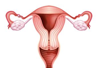 一侧输卵管积水结扎还能怀孕吗,一侧输卵管通而不畅怀孕率高吗