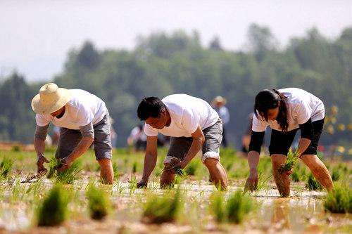 能抬300斤的升降机,农民也能用得起一款升降机