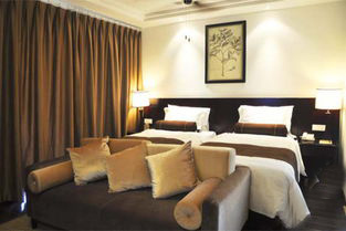 武隆仙女山和天坑两日游,重庆武隆仙女山2日游