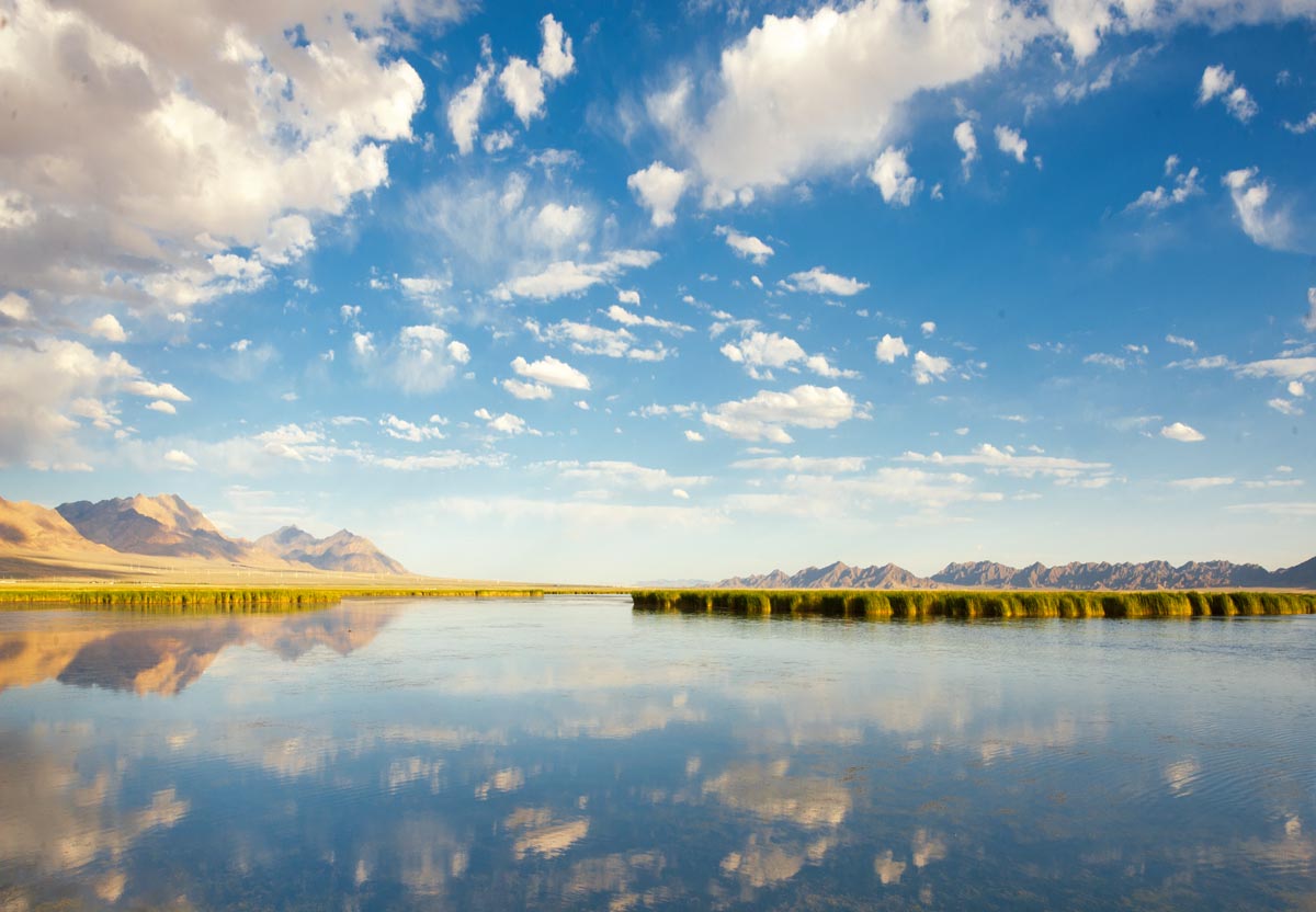 我的旅行日记之青海,我的旅行日记高原茶场