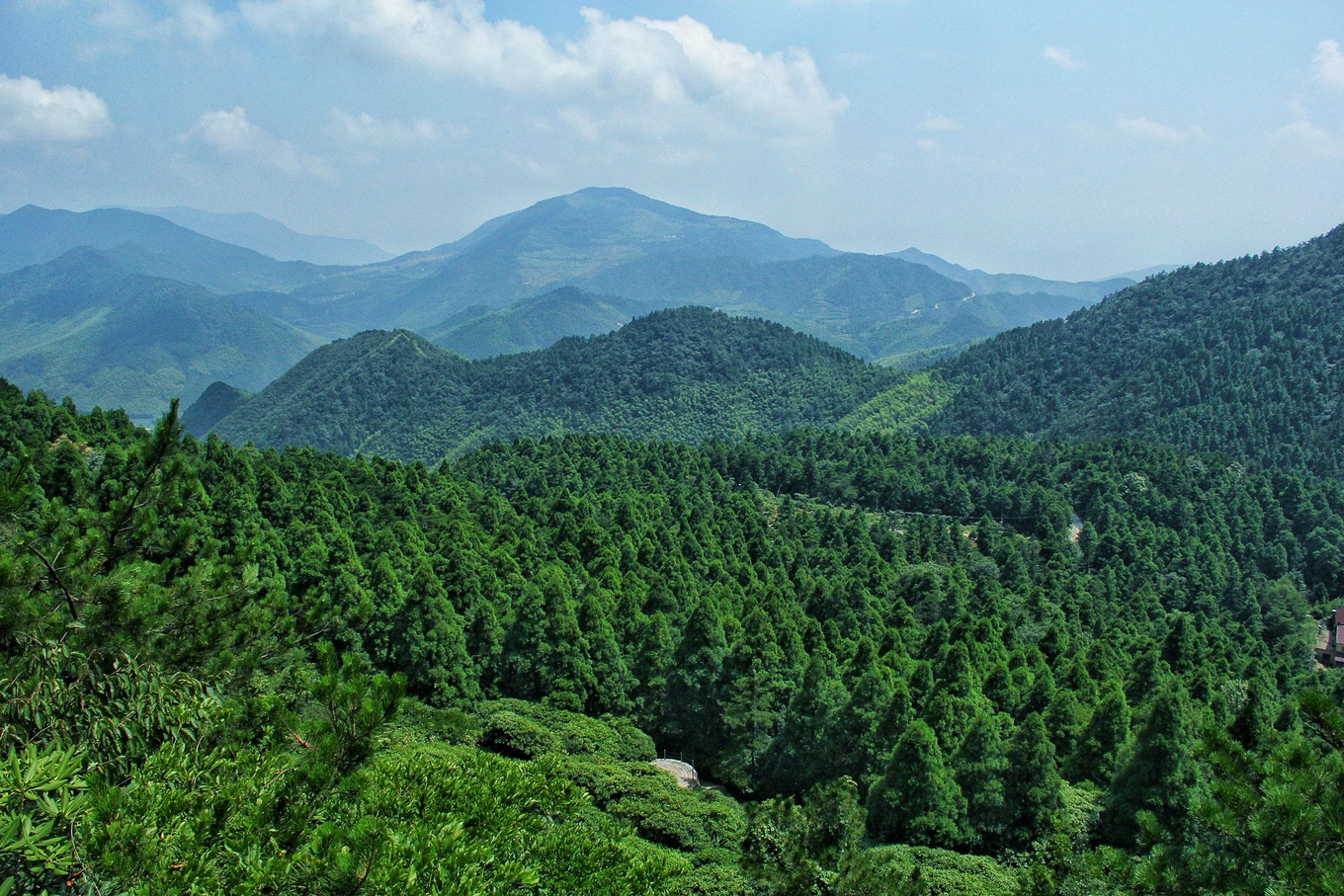 天台华顶山森林公园历史,李白来过天台吗