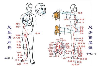 胆红素升高怎么治疗多久能恢复,总胆红素偏高运动可以改善吗