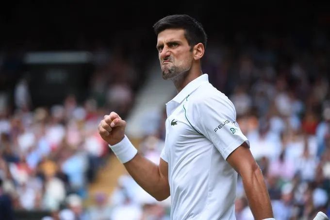 温布尔登称王｜德约科维奇的远方，在更远