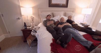 猫狗吃醋打架,吃醋的猫狗