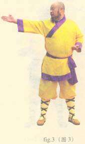 少林护心意门拳全套演示,少林拳长护心意门拳介绍