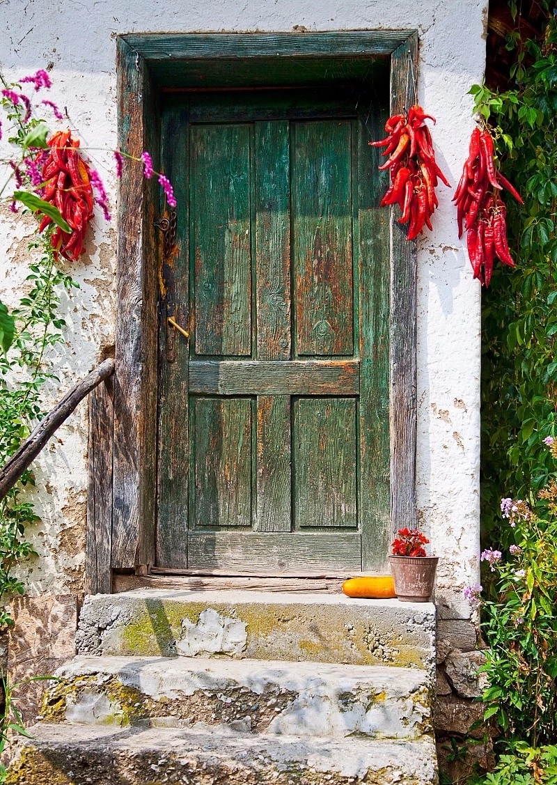 简单随性的水彩教程,水彩生动技巧视频