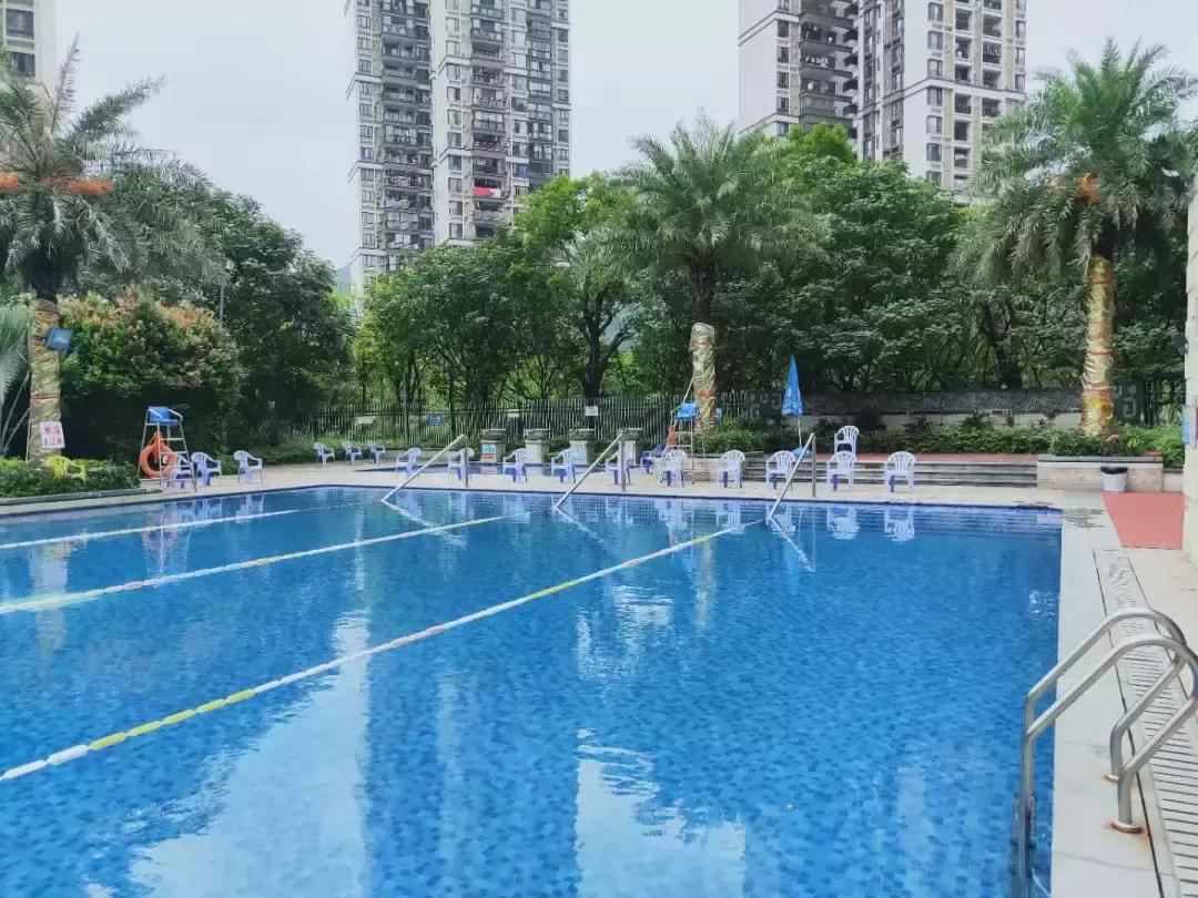 广州十大游泳池,黄埔游泳池有哪些