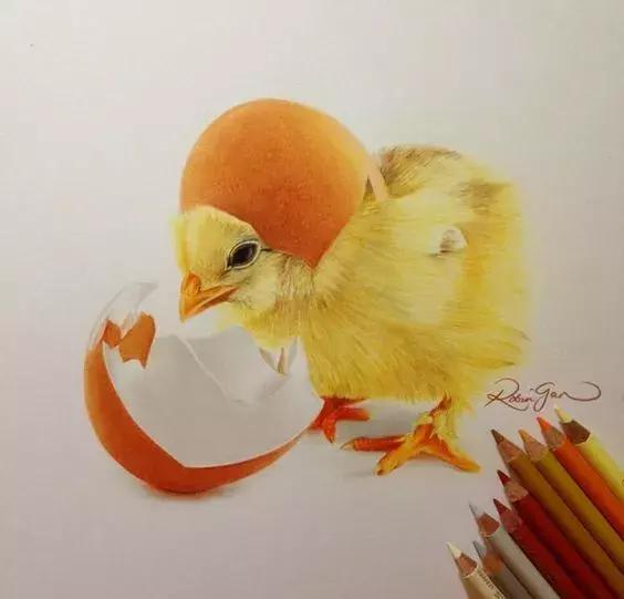 画得比实物好看,彩铅怎么样能画好看