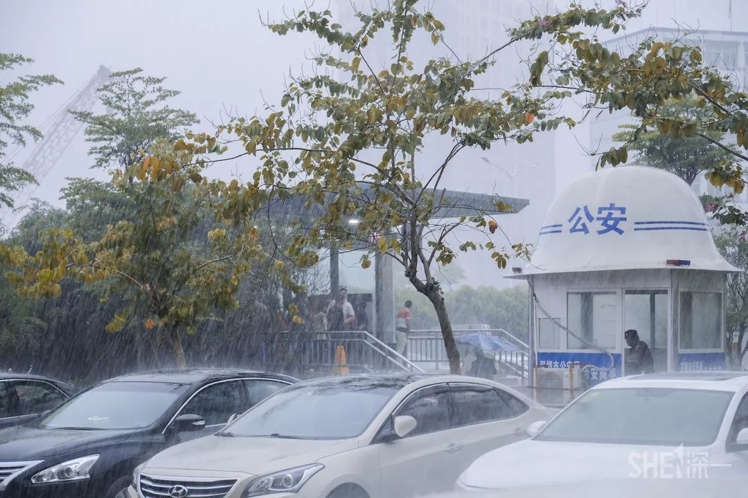 生活在深圳的真实感悟,在深圳的生活真的很不容易