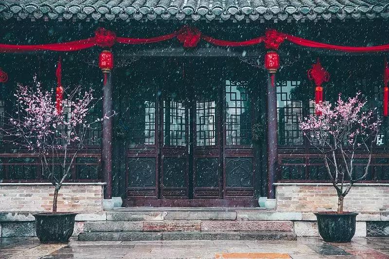 徐州市中心处竟隐藏着一片梅花林，时尚又古香的街区被映成粉色
