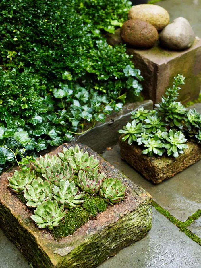 简单实用的家庭花园,20平方小花园