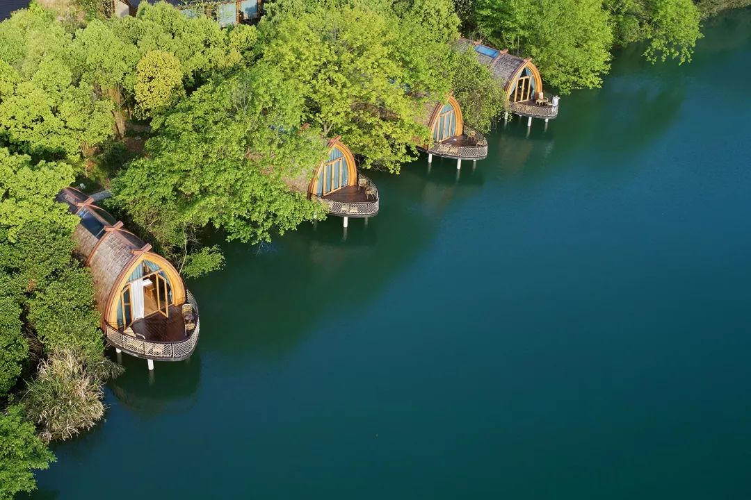 真正的森林树屋,这些树屋满足你对森林的所有幻想