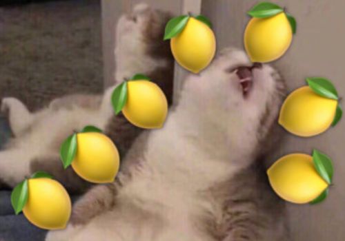 520礼物男朋友实用礼盒,520元能在抖音送什么礼物