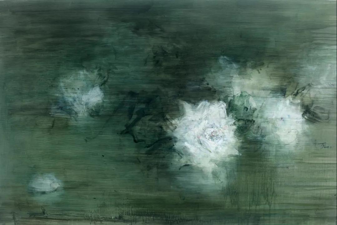 未解之谜大揭秘,未解之谜解说