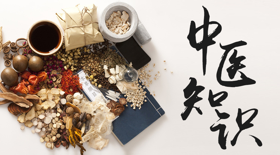 神似薄荷的养生药材,薄荷和其他中药同时煮