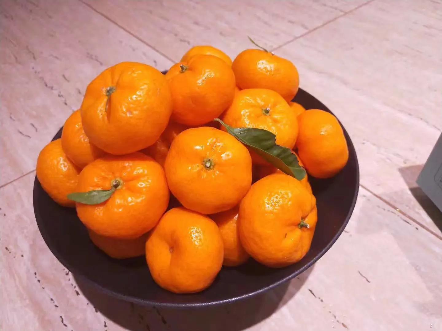 南丰贡桔一斤多少钱,2021年的南丰贡桔大概多少钱一斤