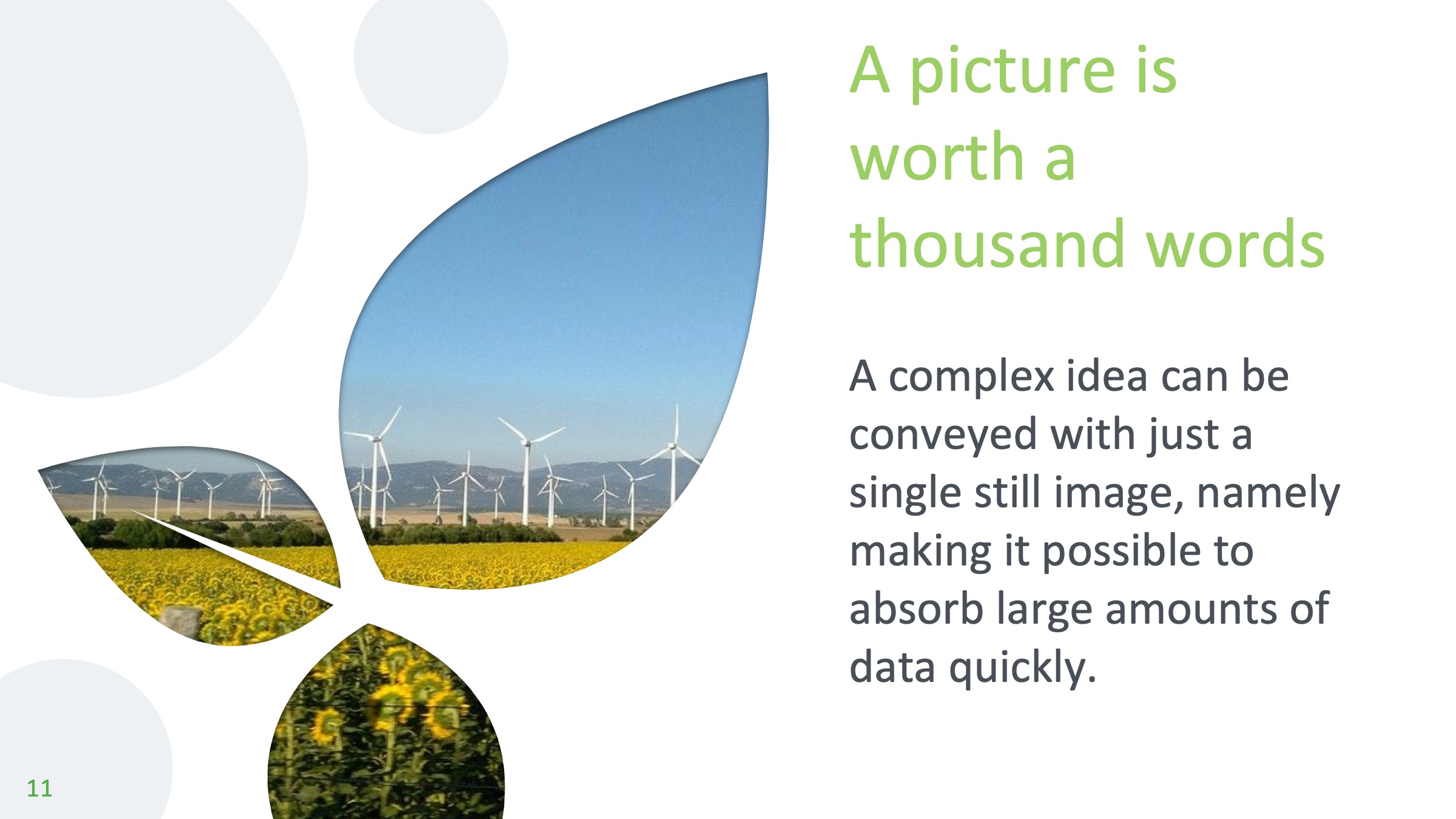 鍏充簬妞嶇墿涓婚鐨刾pt妯℃澘,妞嶇墿ppt楂樼骇灏侀潰