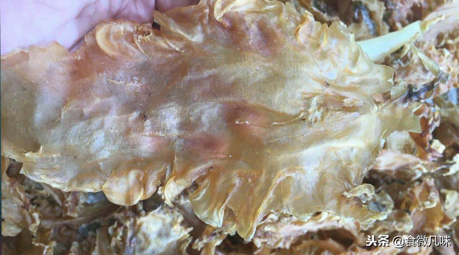 鳕鱼胶的正确用法,深入浅出基础篇