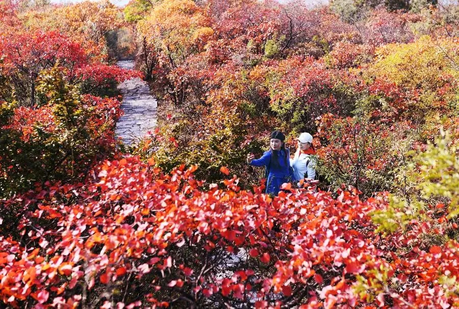 颜值惊艳神仙颜值,颜值爆表长相逆天