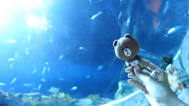 什么是平面设计图片,什么是平面设计价格怎么样