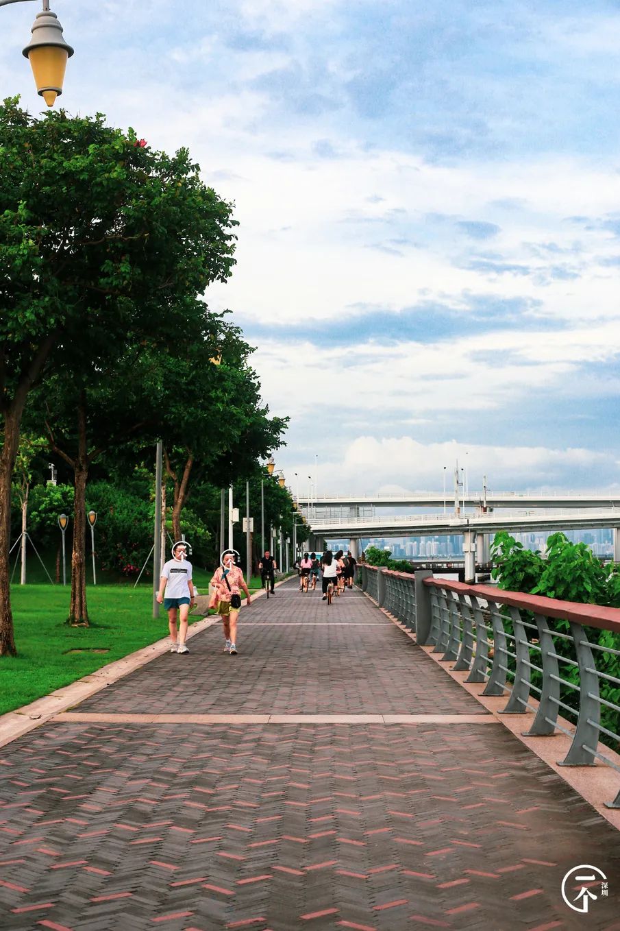 测评深圳湾,我直接被房租劝退