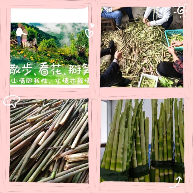 长沙周边农家乐景点推荐,长沙农家乐哪里好玩