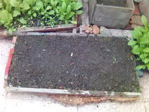 环保种菜酵素制作方法,环保酵素用什么果皮做出来