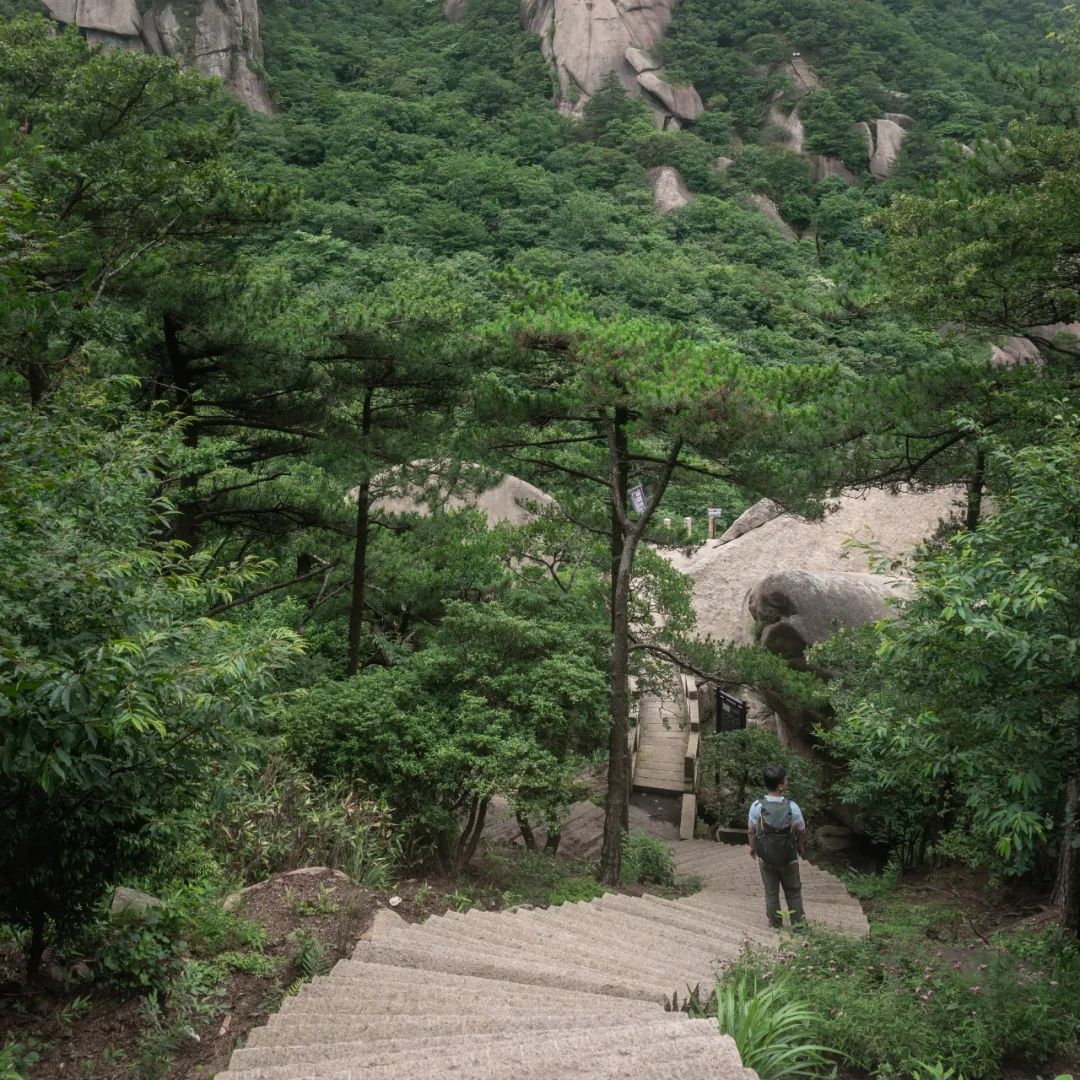 我国四大名山九华山,四大佛教名山哪个风景最美
