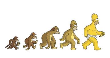 人类进化背后的万年相亲博弈：我们的祖先也爱酷哥