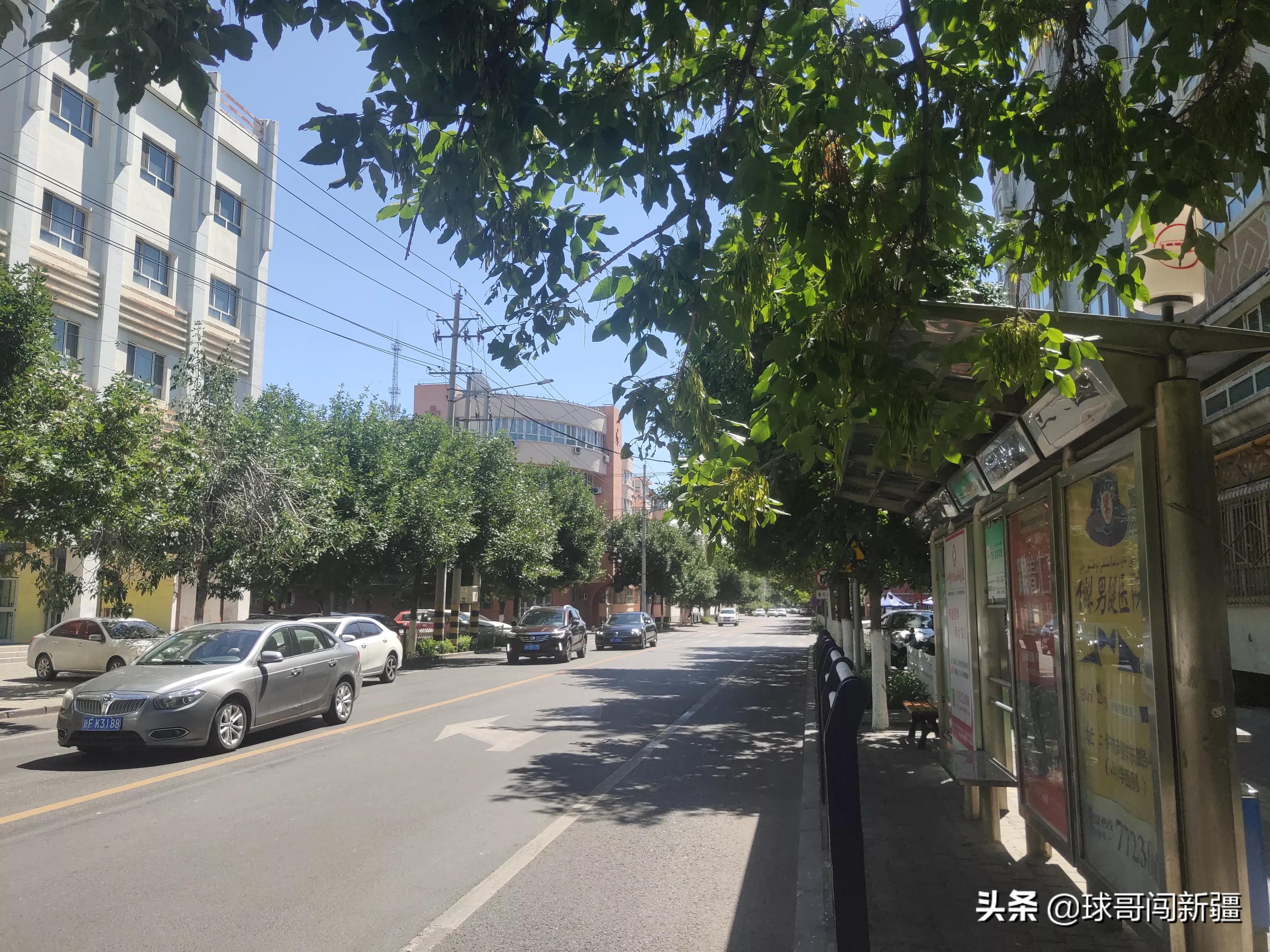 伊宁市有没有发展前景,伊宁市东城区的发展趋势