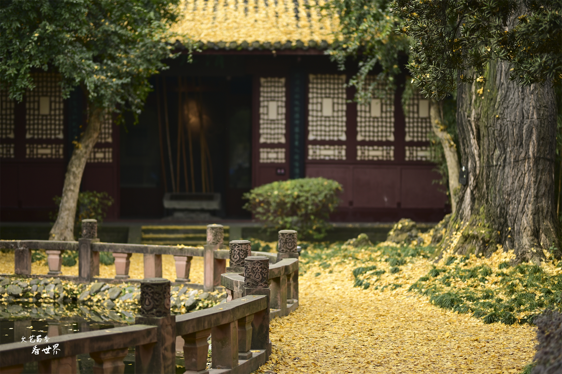 假期想去成都旅游怎么办,假期旅游去成都