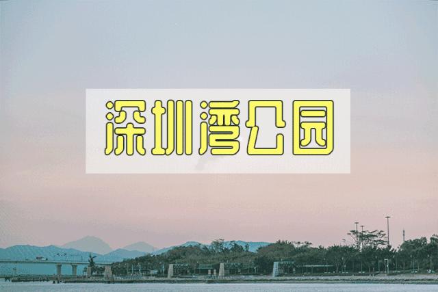 深圳市一日游攻略最佳路线,深圳一日游详细攻略大全最新