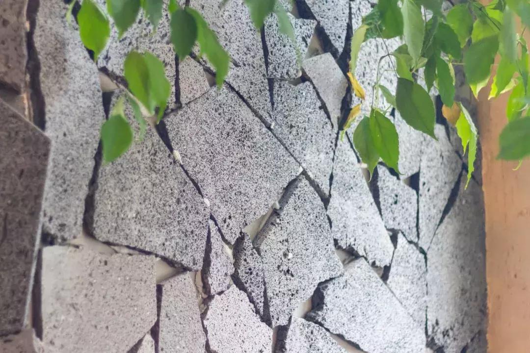 厦门藏在绿野仙踪里的花园餐厅,厦门藏很深的西餐厅