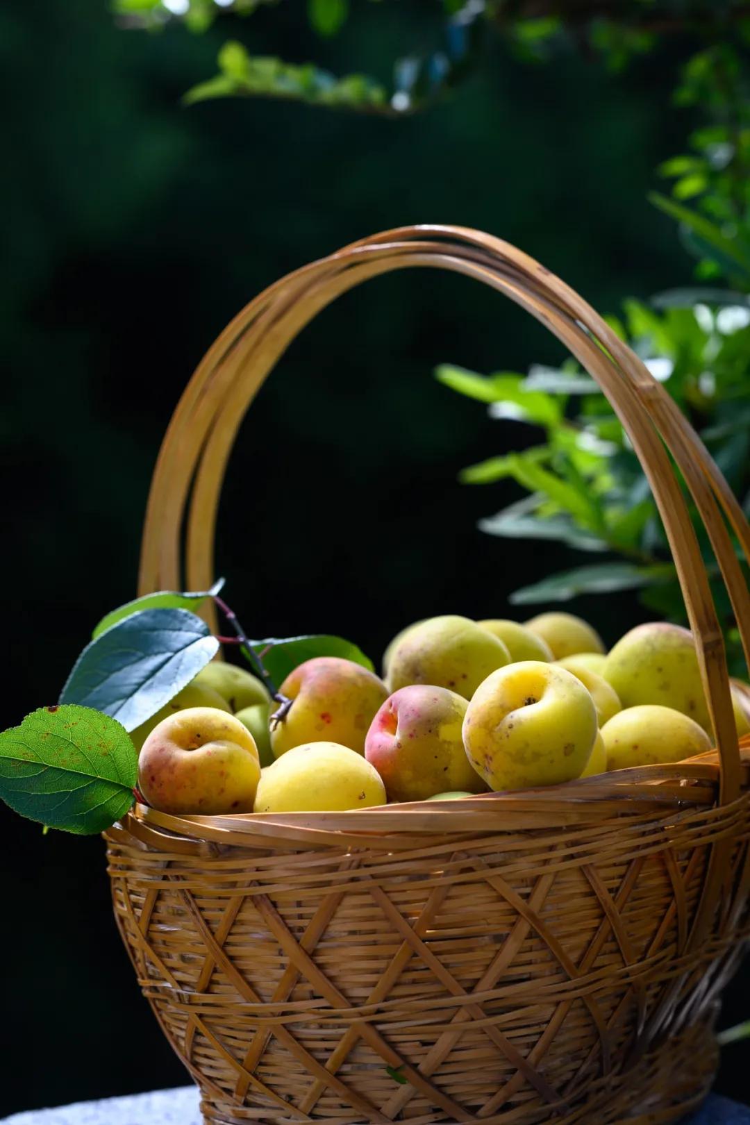 鑵惧啿闆曟鏁欑▼,鑵惧啿闆曟