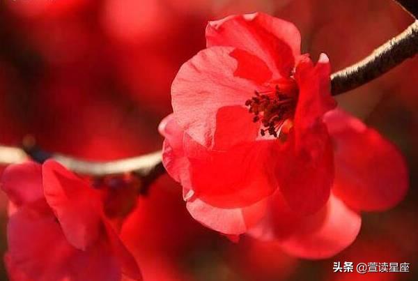 大运流年遇财神,2020财神到新的一年财运亨通