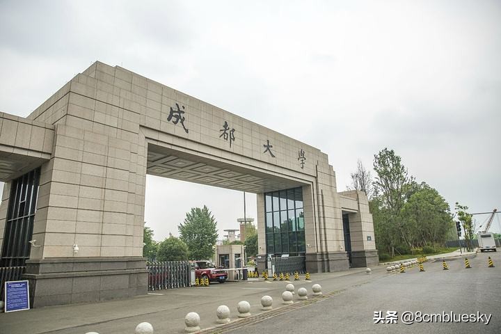 学医不代表什么都懂,学医不从医好吗
