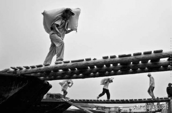 世界上最无聊的冷知识,世界十大奇葩冷知识大全