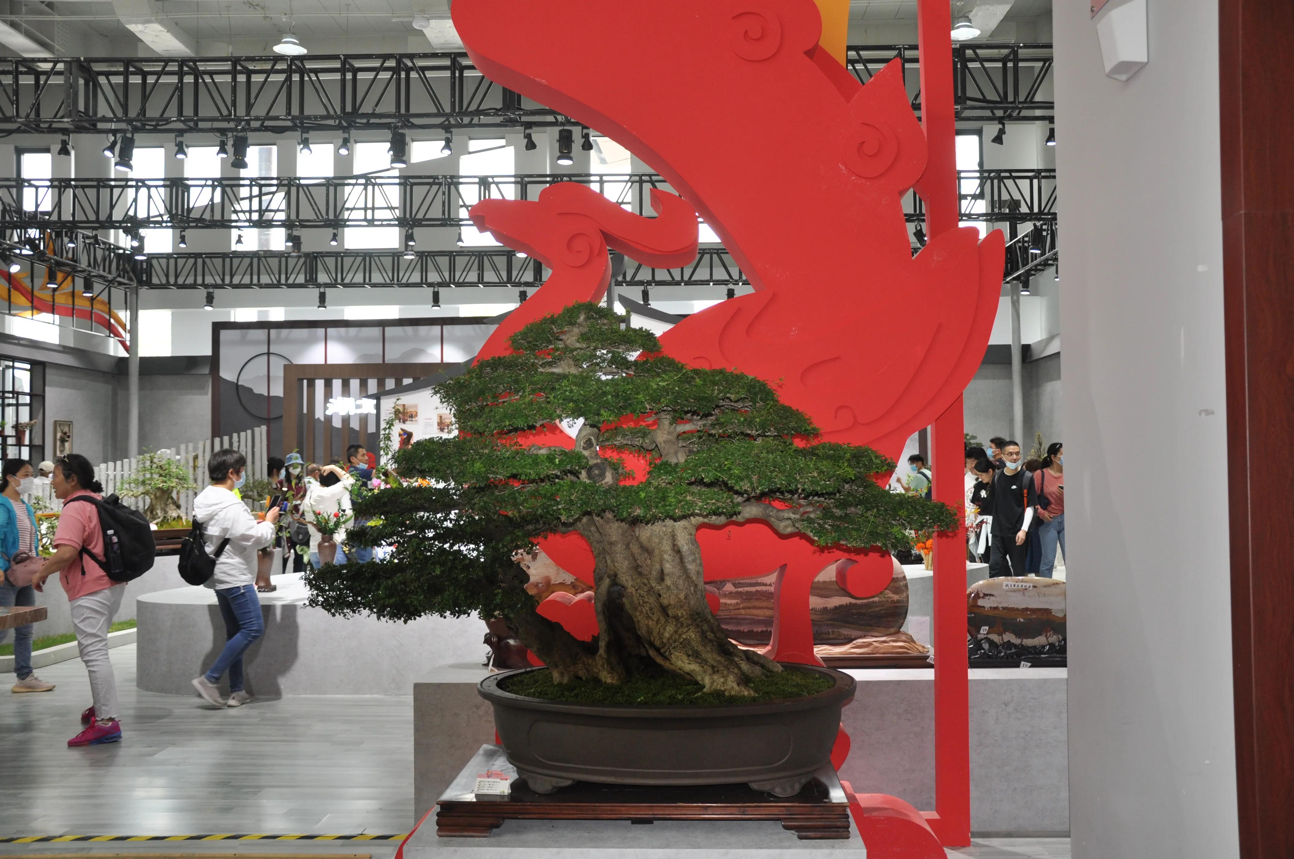 漳州东南花都花博会巡游,花博会花神巡游打卡