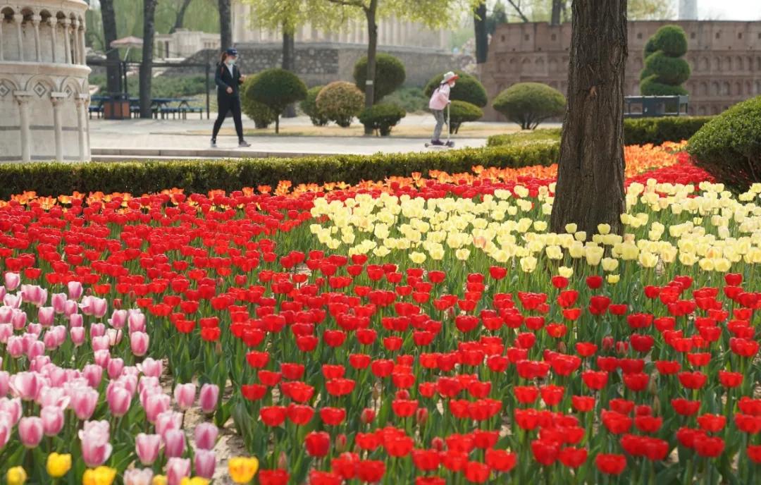 安全出行宝典,北京安全出游好去处