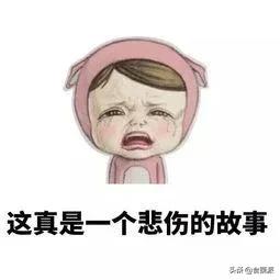 交过的智商税,女朋友交过的智商税