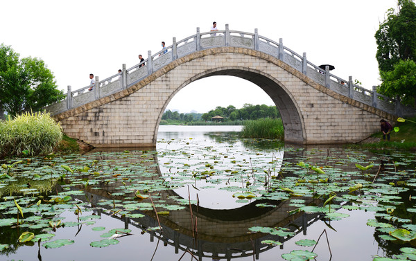 南昌动物园哪里有大象,南昌大象公园