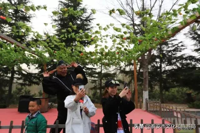 太阳部落飞车,太阳部落游览车