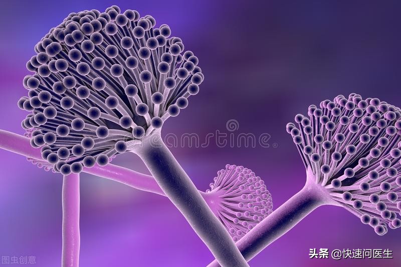 阴道炎都有哪些种类和症状,阴道炎的种类及症状怎么治疗