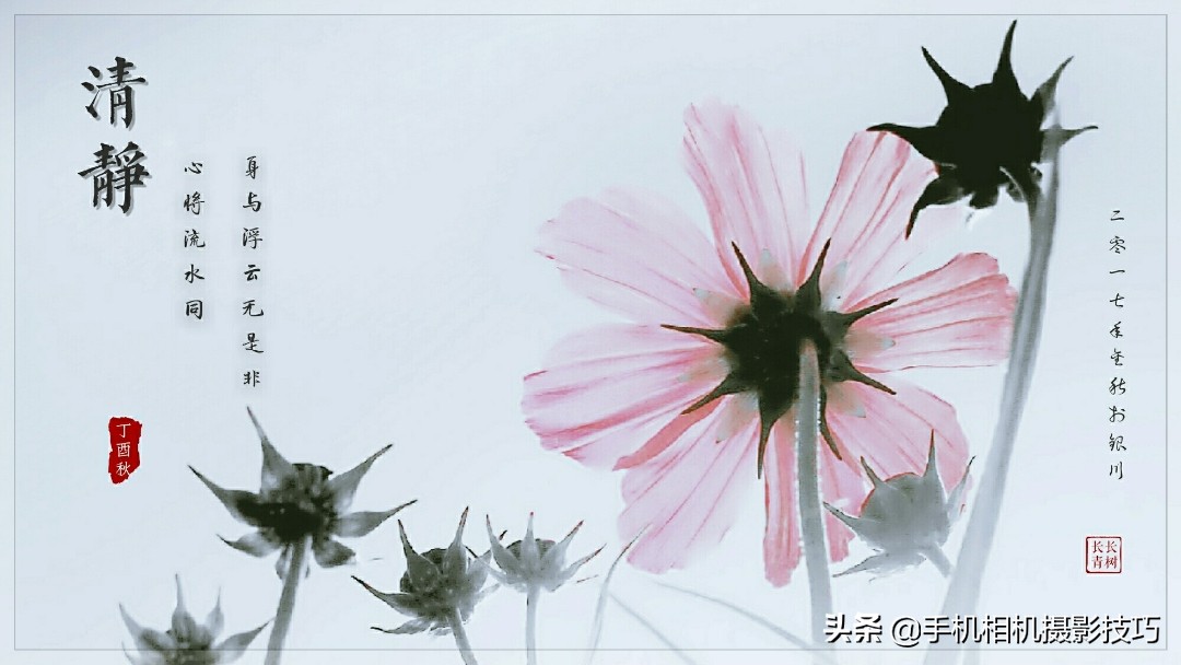 给照片加上水印用什么软件,怎么给照片加水印手机版